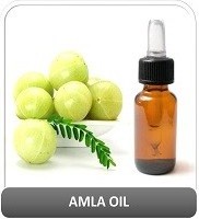 Bulk Supplier of Guava Seed Oil Factory Direct Supply Guava Seed Oil Natural Guava Seed Oil Price in India