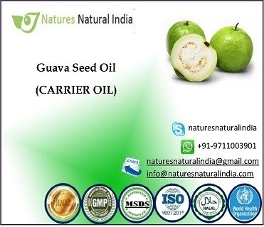 Bulk Supplier of Guava Seed Oil Factory Direct Supply Guava Seed Oil Natural Guava Seed Oil Price in India