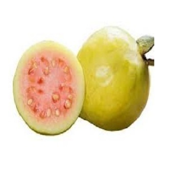 Bulk Supplier of Guava Seed Oil Factory Direct Supply Guava Seed Oil Natural Guava Seed Oil Price in India