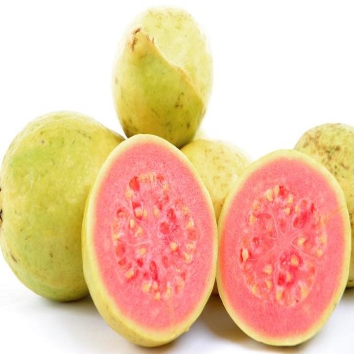 Bulk Supplier of Guava Seed Oil Factory Direct Supply Guava Seed Oil Natural Guava Seed Oil Price in India