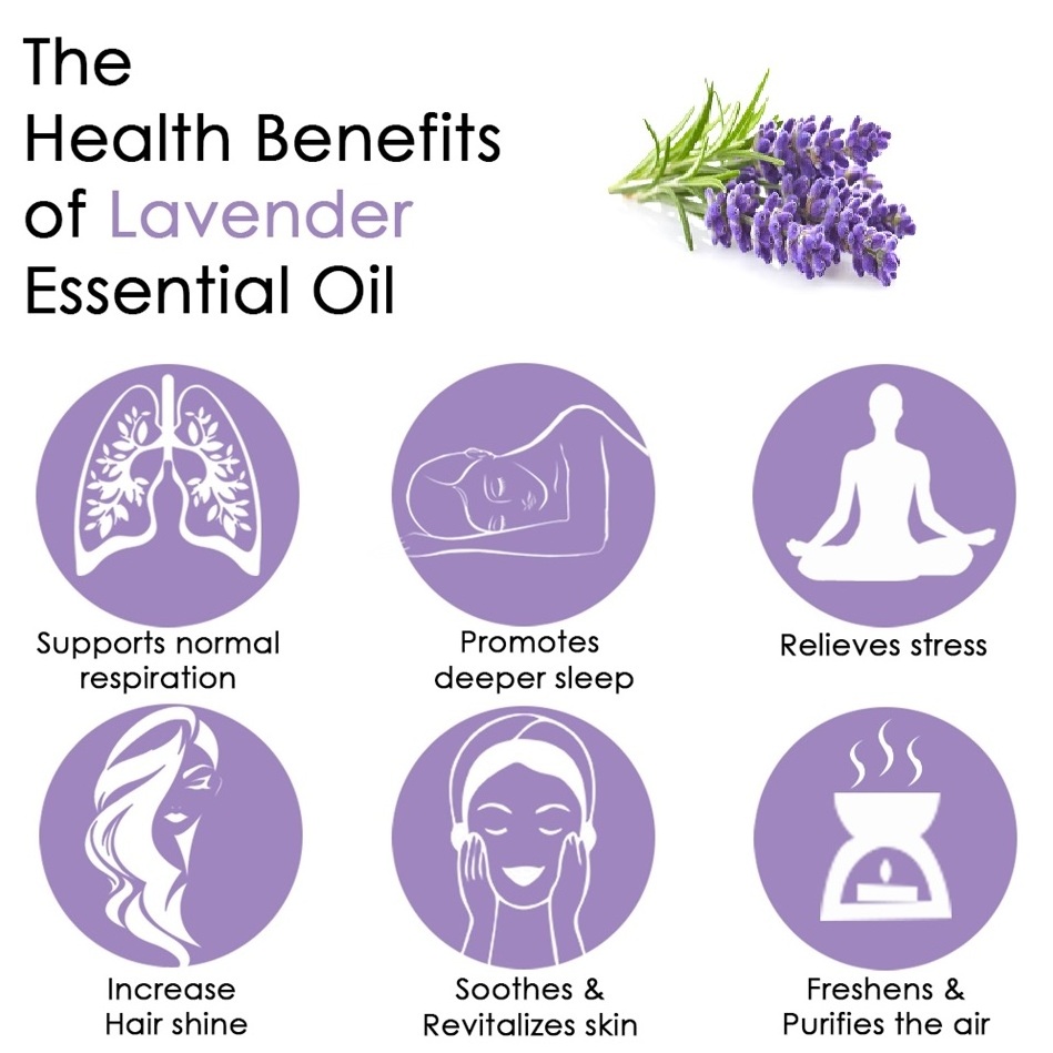 Wholesale Supply Lavender Essential oil in India At Bulk Prices Aromatherapy Lavender Essential Oil Wholesalers