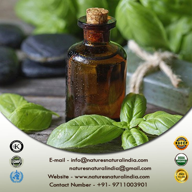 Wholesale Face Care Whitening Essential Oil Skin Brightening Holy Basil Oil in 10ml 20ml 30ml Customized Packaging