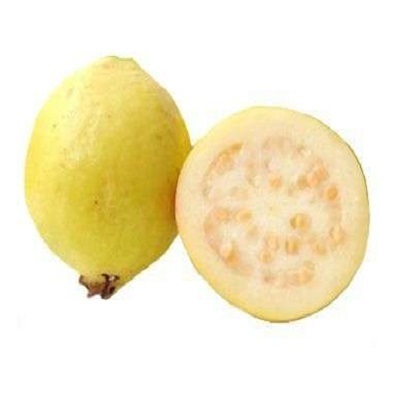 Bulk Supplier of Guava Seed Oil Factory Direct Supply Guava Seed Oil Natural Guava Seed Oil Price in India