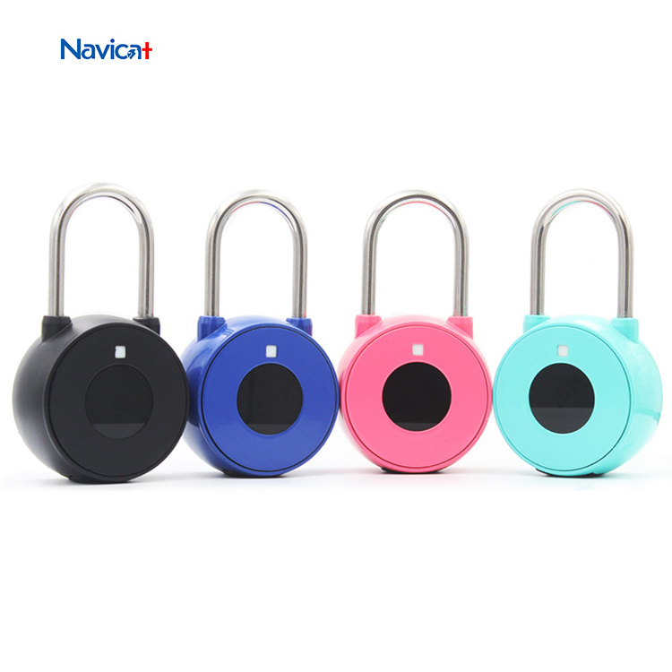 Manufacture Direct Sale Waterproof Smart Padlock Digital Small Travel Padlock Smart Finger Print Lock Padlock