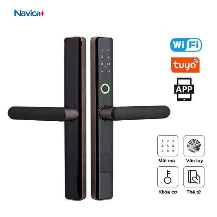 Custom App Magnetic Automatic Sliding Auto Electric Smart Wifi Gate Central Zigbee Door Smart Lock