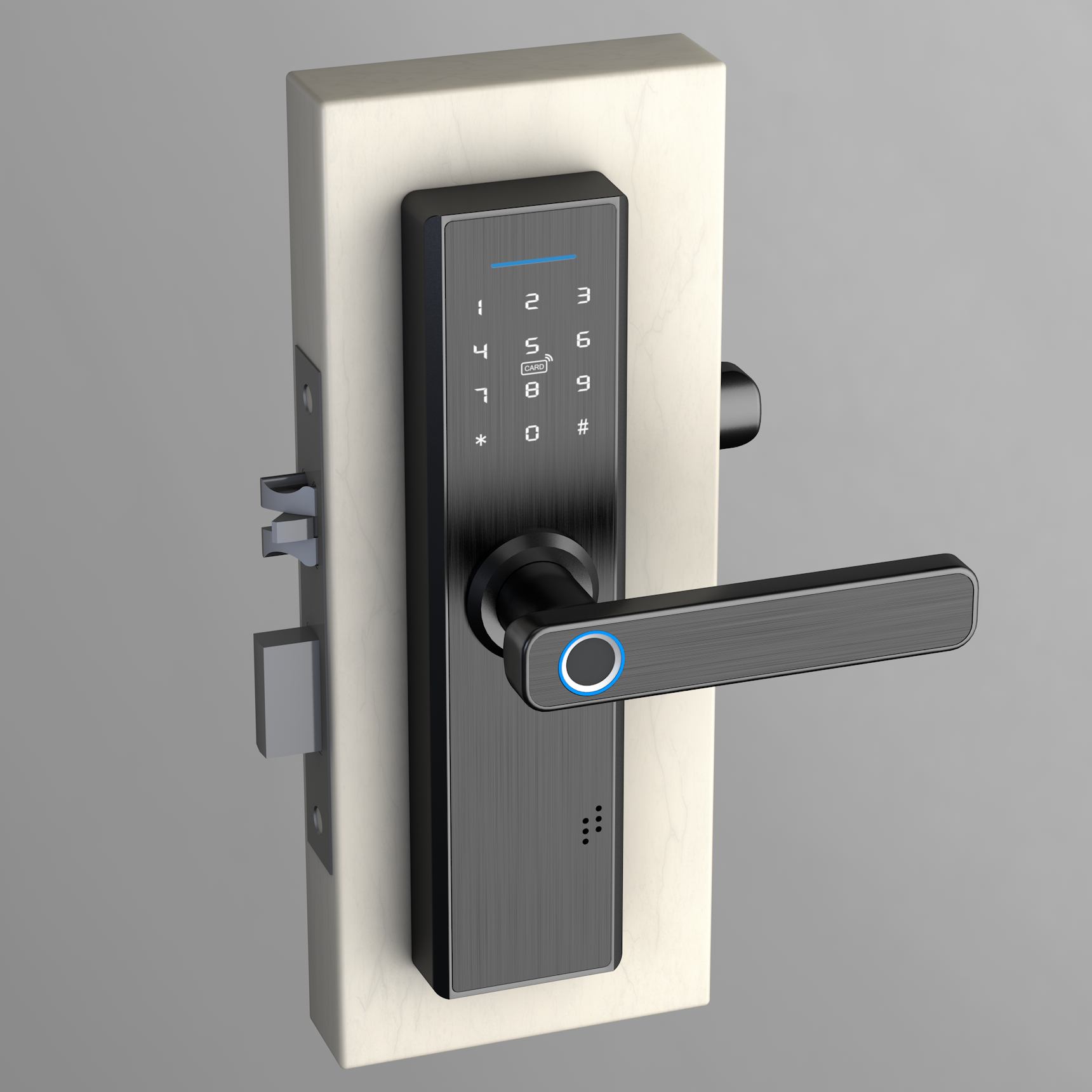 Fingerprint Handle Door Lock Electronic Digital Password Waterproof RFID Card Smartsteps Smart Door Lock