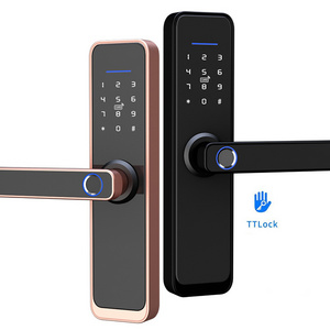 High Security Smart Door Aluminium Lock Wifi Ttlock Handle Central Types Multipoint Biometric Finger Print Door Lock