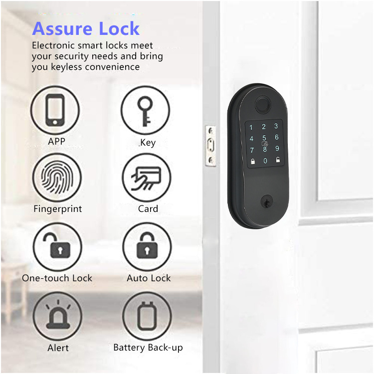 Smart Deadbolt Door Lock Keyless Entry Auto Lock Remote Share App Control Smart Lock for Home Office Apartment