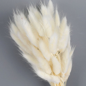 Wholesale Natural Real Bunny Rabbit Tail Grass Bouquet Preserved Lagurus Ovatus Dried Flowers For Wedding Decoration