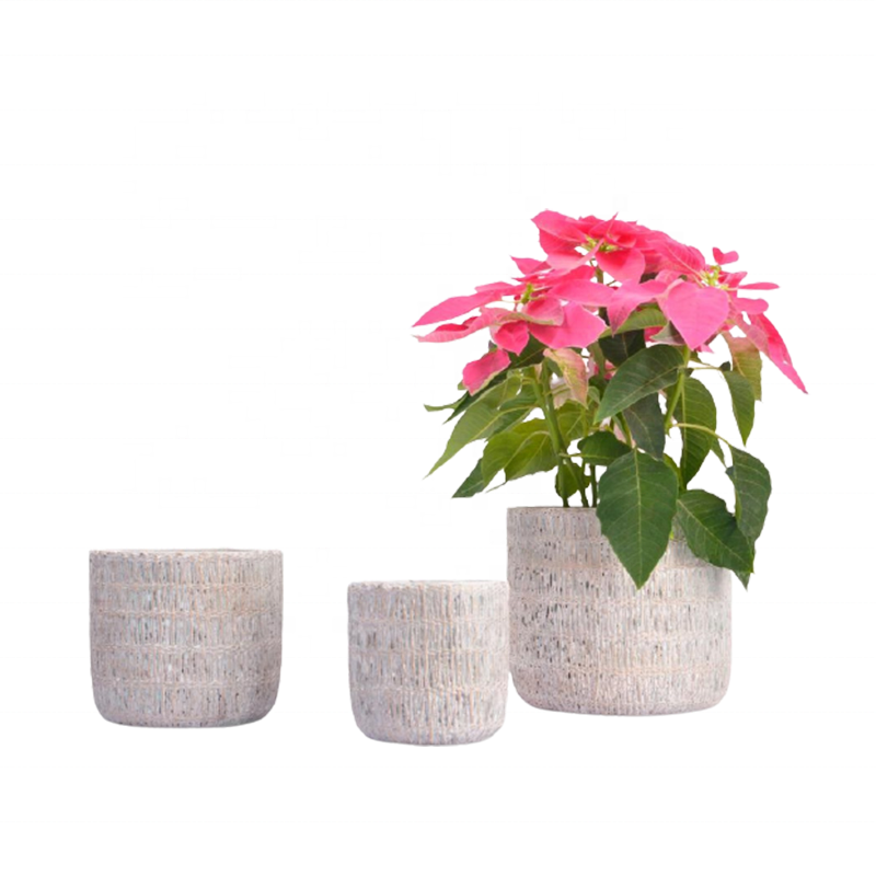 Wholesale Nordic Round Small Succulent Bonsai Pots Planter  Inch Cement Flower Pot