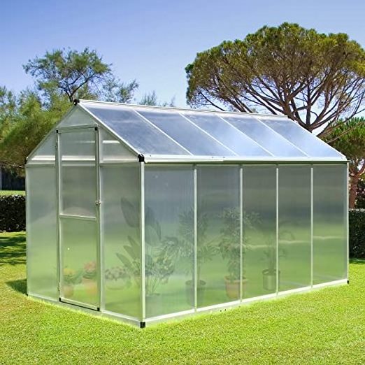 8' L x 6' W Walk-in Polycarbonate Greenhouse with Roof Vent for Ventilation & Rain Gutter, Hobby Greenhouse for Winter