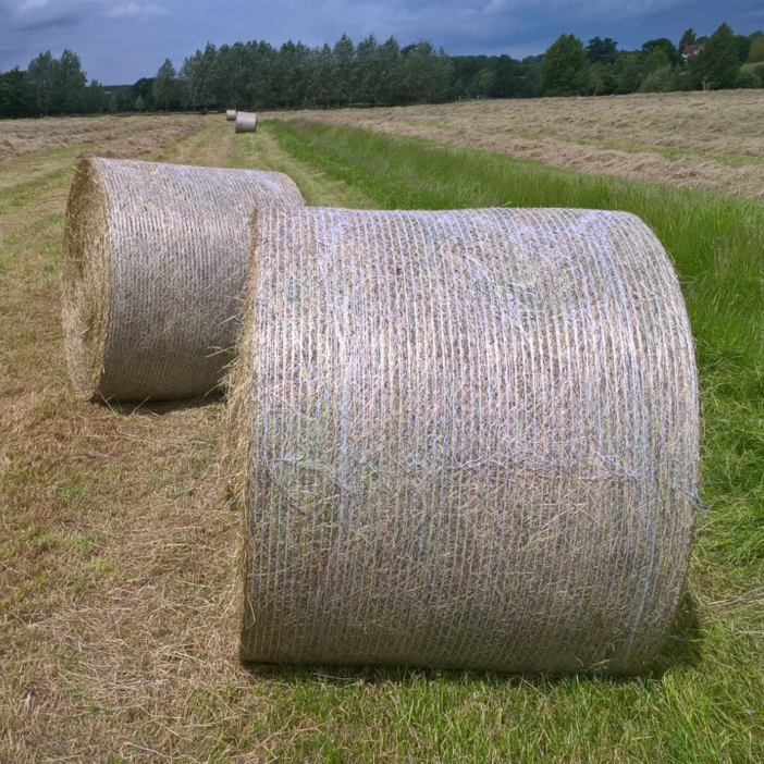 PE Net Wrap Big Round Bales Net