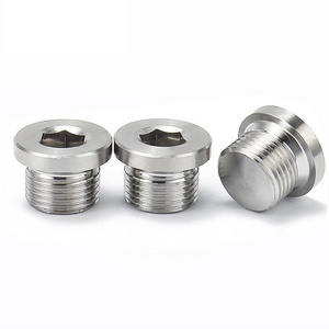 DIN 908 Stainless Steel Hexagon Socket Screw Plugs