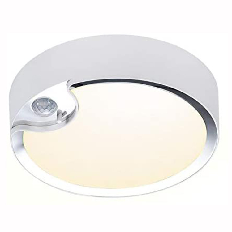 Battery Operated Indoor/Outdoor LED Motion Sensor Ceiling Light