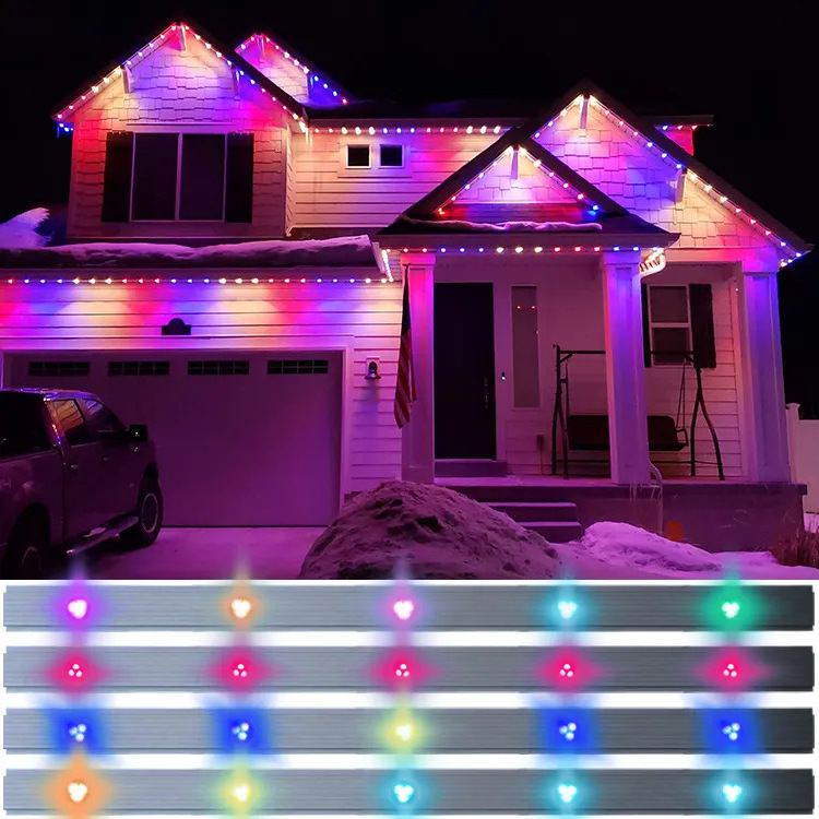 Controller Box Decoration Led Programmable Smart Christmas Permanent Holiday Lights with Control Outdoor