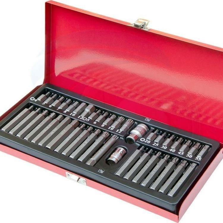 wholesale 40pc mechanical tools for automobile and Torx Bit and socket set T50 T25 T30 T40