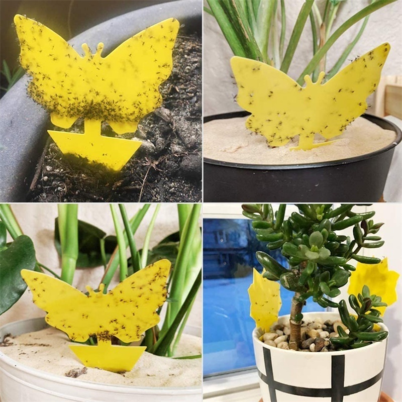 Outdoor indoor flying insect trap yellow sticky card for fruit