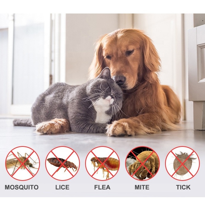 Anti-flea and ticks silicone 8 month flea and tick prevention pet collar for dogs