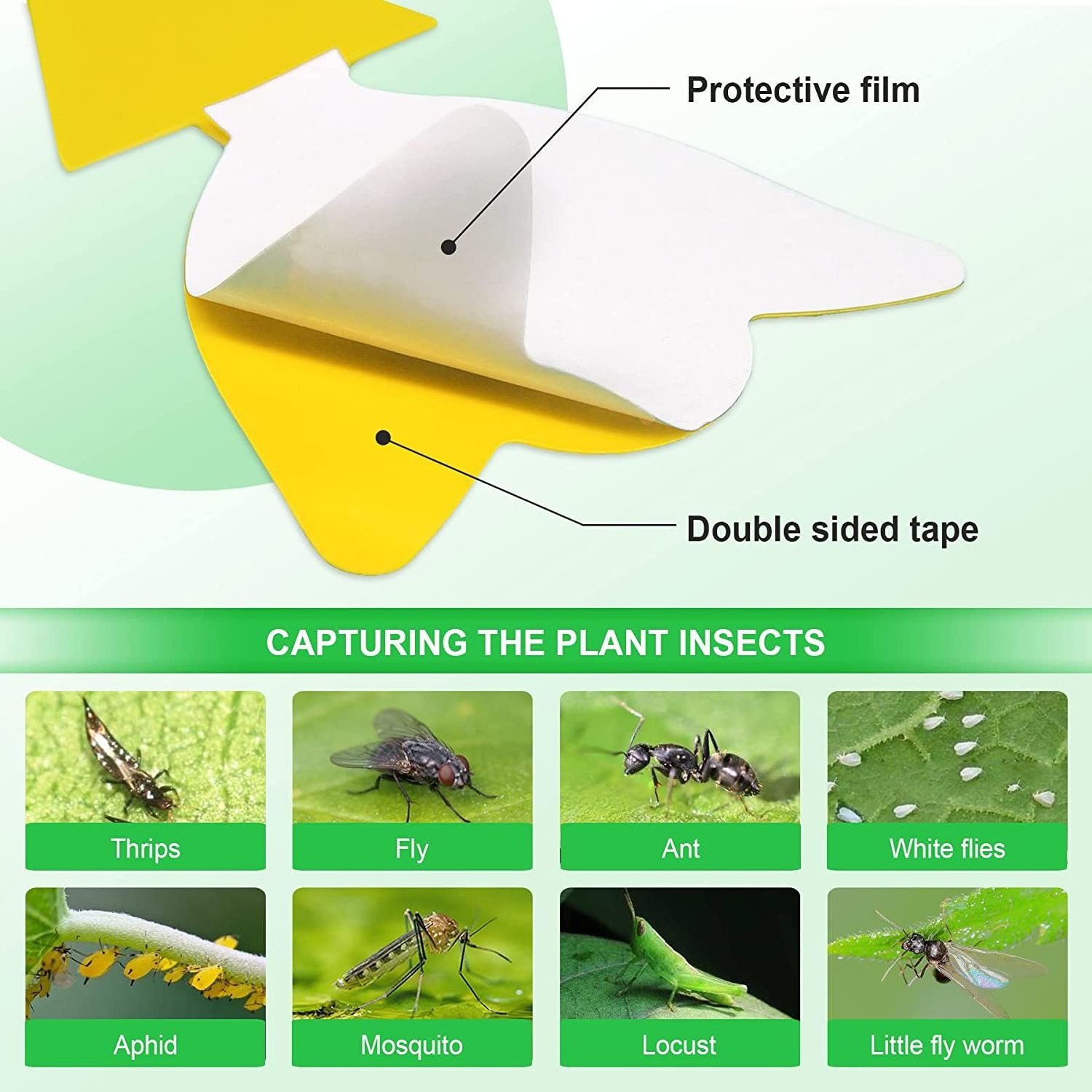 Plug-in Garden Insect Control Fly Killer Fruit Fly Strong Glue Highly Efficient Yellow Sticker Trap