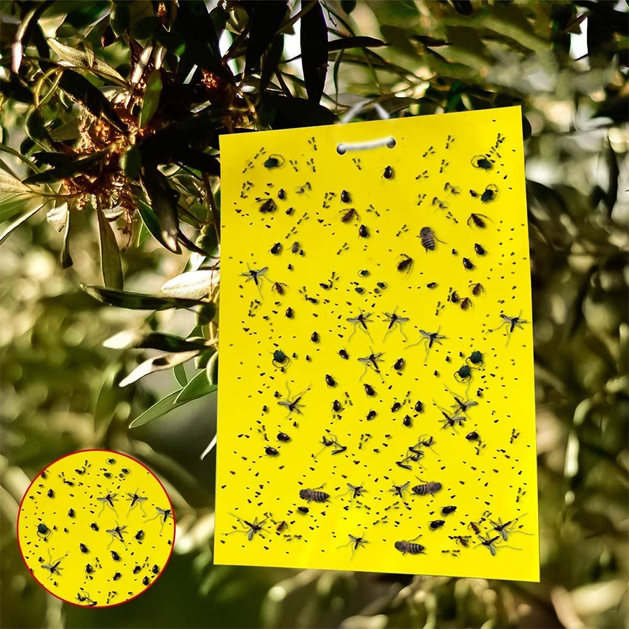 Fruit Fly and Gnat Trap Yellow Sticky Bug Traps for Flies,Mosquitos,Fungus Gnats,Flying Insects