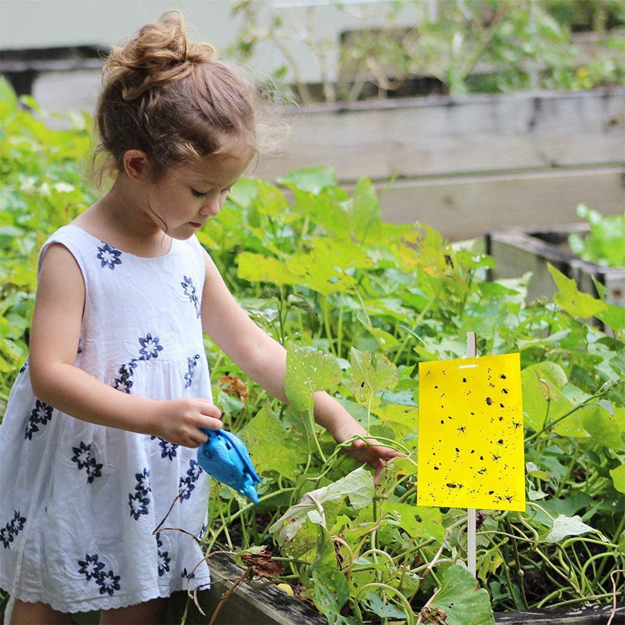 Fruit Fly and Gnat Trap Yellow Sticky Bug Traps for Flies,Mosquitos,Fungus Gnats,Flying Insects