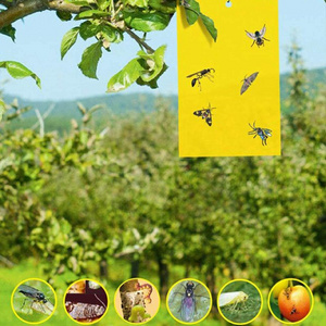 Fruit Fly and Gnat Trap Yellow Sticky Bug Traps for Flies,Mosquitos,Fungus Gnats,Flying Insects