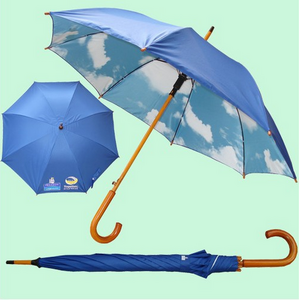 China supplier hot selling promotion umbrella auto open 24'' straight umbrella 190T advertising umbrella