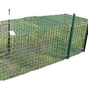 Bird Cage Trap Rat Cage Mice Larsen Magpie Trap Two Entry 92*32*42cm Trap