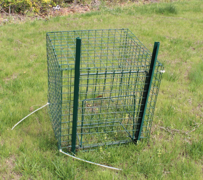 Bird Cage Trap Rat Cage Mice Larsen Magpie Trap Two Entry 92*32*42cm Trap