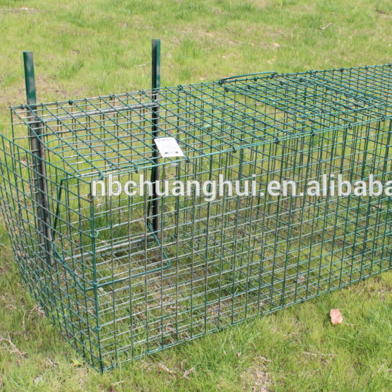 Bird Cage Trap Rat Cage Mice Larsen Magpie Trap Two Entry 92*32*42cm Trap