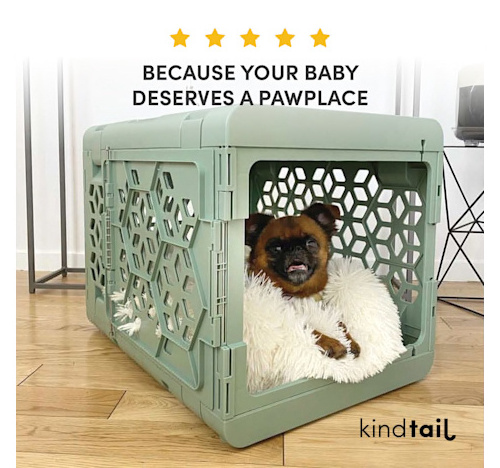 New Trend Safety Light Green Plastic Dog Kennel Modern Collapsible dog travel crate for Small Dogs