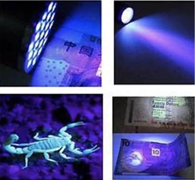 Clover UV 9 LED Mini Blacklight Flashlight Torch Light 395nm UV Flashlight for Scorpion Money Detector Hunter Finder 50 70 AAA