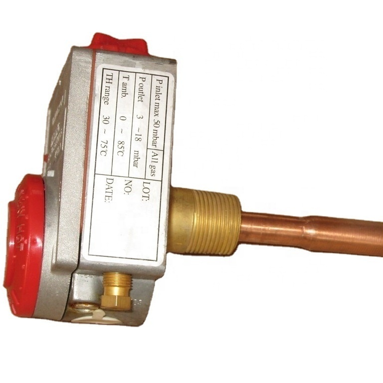 Tank Storage Water Heater Gas Valve and Gas Geyser Thermostats