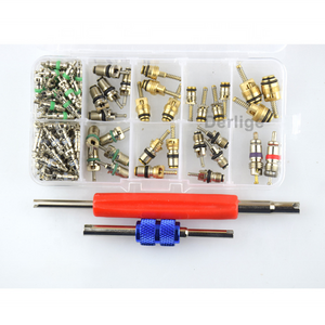 Car Air Conditioning Valve Core Kit, Auto AC Repair Complete Tool Box Set, 18 types A/C R12 R134A