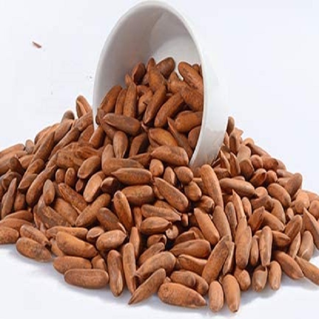 fresh pine nuts new crops 2022 pine nuts wholesale price bulk quantity pine nuts