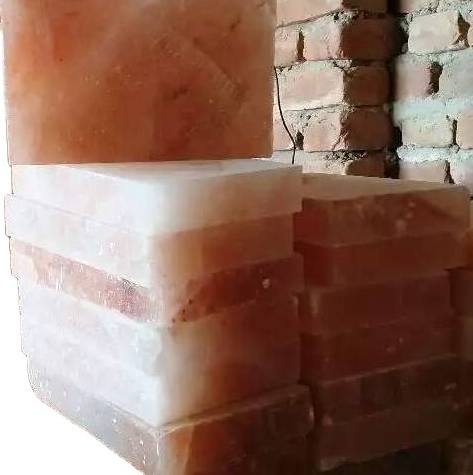 Himalayan Salt Tiles Himalayan Salt Bricks Naqshbandi Enterprises Pakistan OEM ODM customization