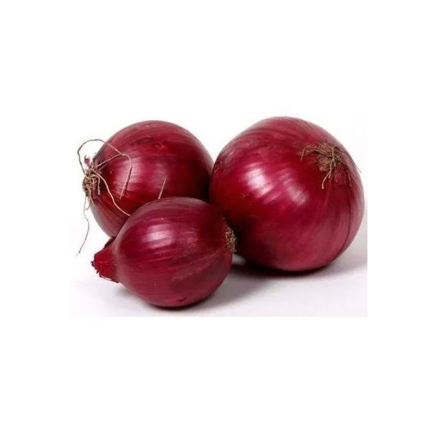 Fresh Onions To remove impurities from our skin we tend to use cleansers toners and masks benefits of eating onions OEM Service