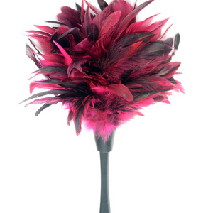 Chicken Feather Duster For Home Cleaning