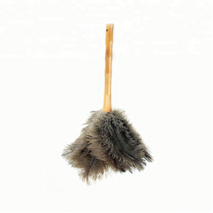 DIY Trading Wholesale Prime Quality Top Grade 6-8 Inch Feather Ostrich Feather Duster Suppliers for home clean