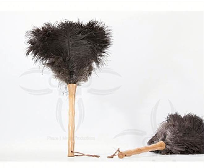 TOP Feather Factory Top Selling Feather Crafts Newest Design High Prime Quality Feather Duster Ostrich For home clean