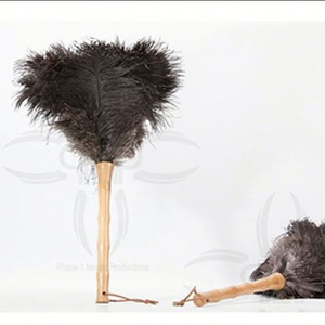 TOP Feather Factory Top Selling Feather Crafts Newest Design High Prime Quality Feather Duster Ostrich For home clean