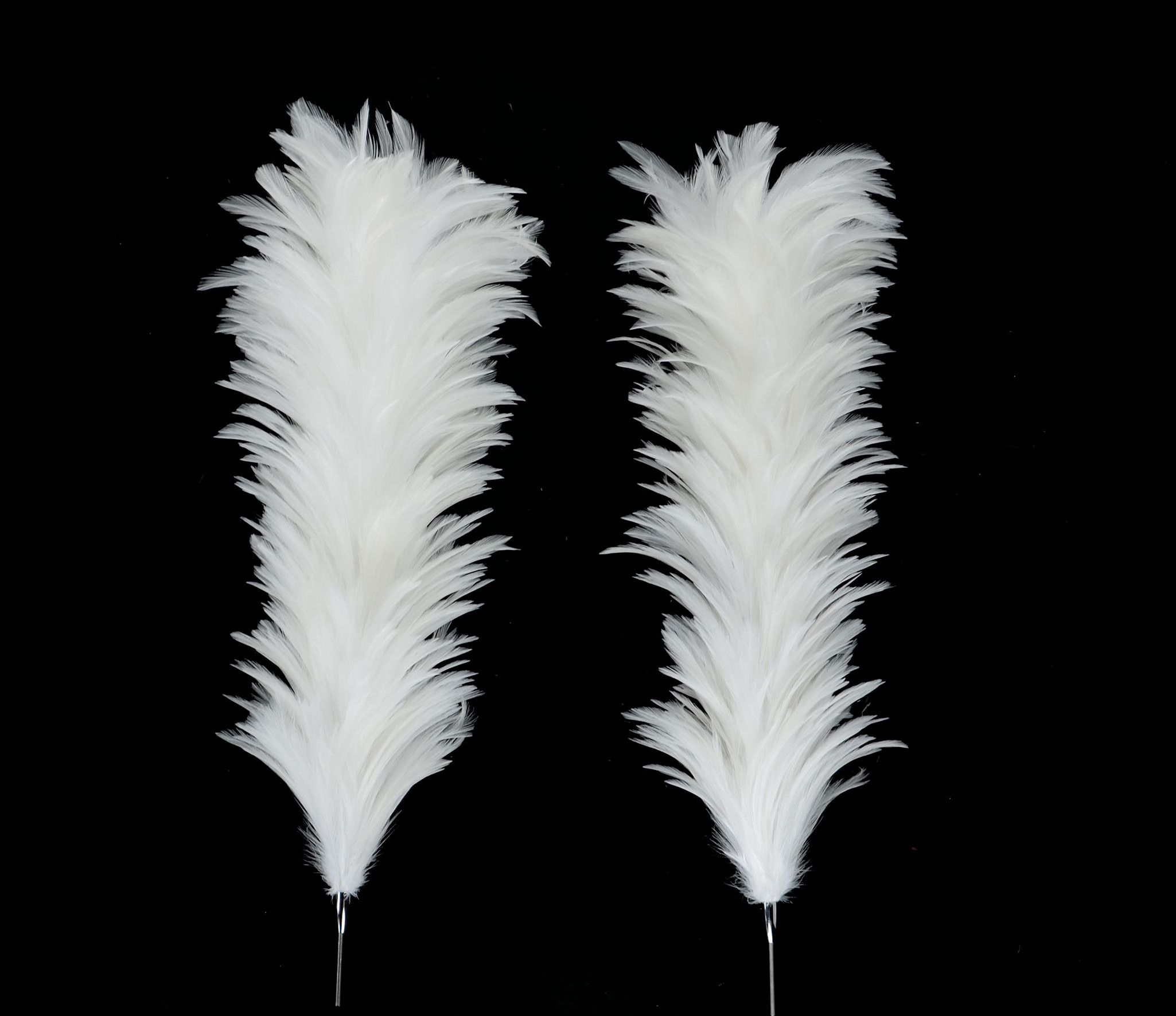 Wholesale Online Shop b hot selling feathers duster natural chicken feather car dusters for sale