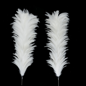 Wholesale Online Shop b hot selling feathers duster natural chicken feather car dusters for sale