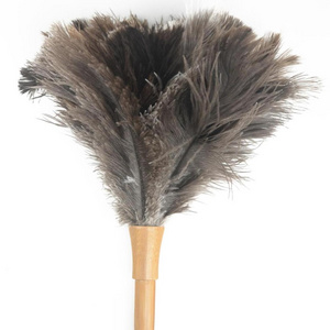 DIY Trading Wholesale FD-15 Ostrich Feather Duster Nat.4-6in for home clean