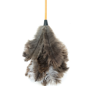 DIY Online Shop Wholesale FD-14 New Design Trade Assurance Noble Ostrich Feather Duster for home clean