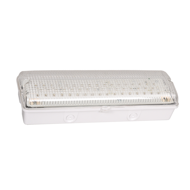 Made by FEITUO Traditional waterproof IP65 bulkhead LED emergency light non-maintained emergency panic exit device LE502L-DC