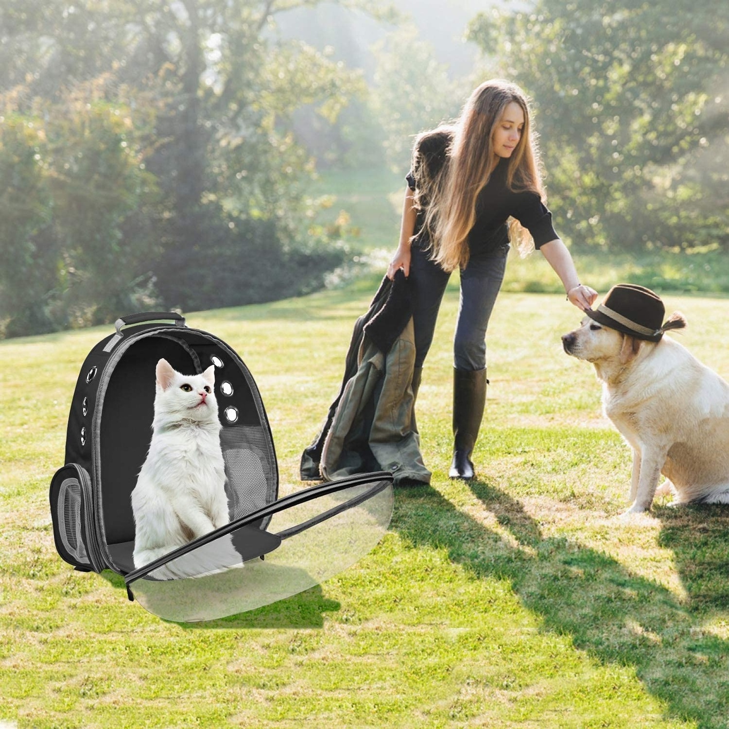 Durable Large Space Transparent Cat Bag Breathable Portable Pet Carrier Outdoor Travel Backpack For Cat And Dog