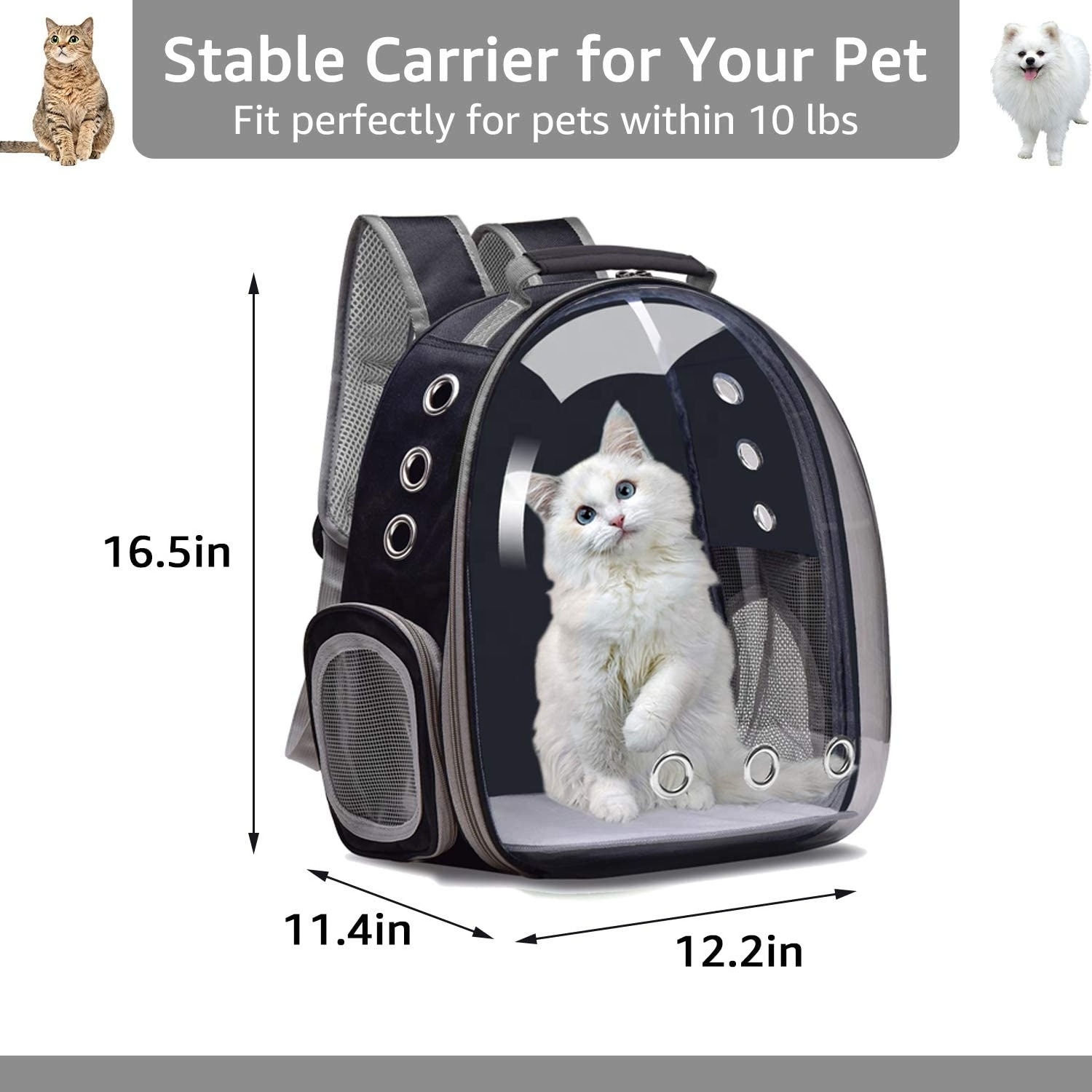 Durable Large Space Transparent Cat Bag Breathable Portable Pet Carrier Outdoor Travel Backpack For Cat And Dog