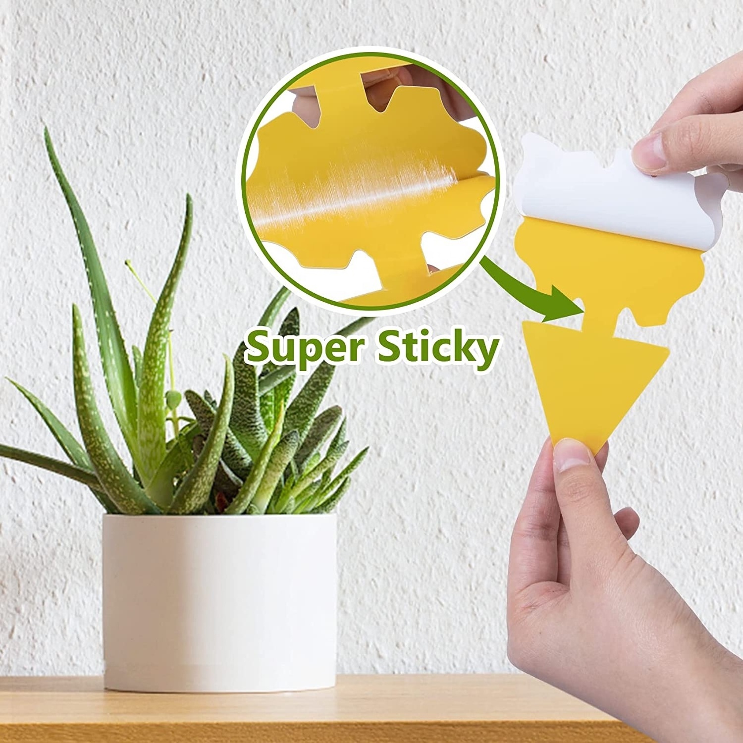 Garden pest control glue insect fly killer yellow sticky traps for flying plant insect