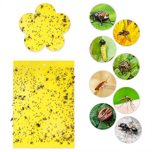 Garden pest control glue insect fly killer yellow sticky fruit fly trap for indoors